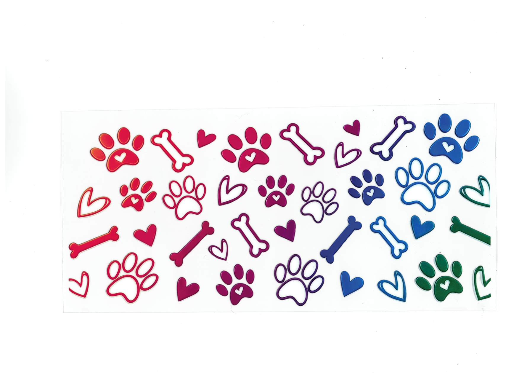 Paw Prints and Bones