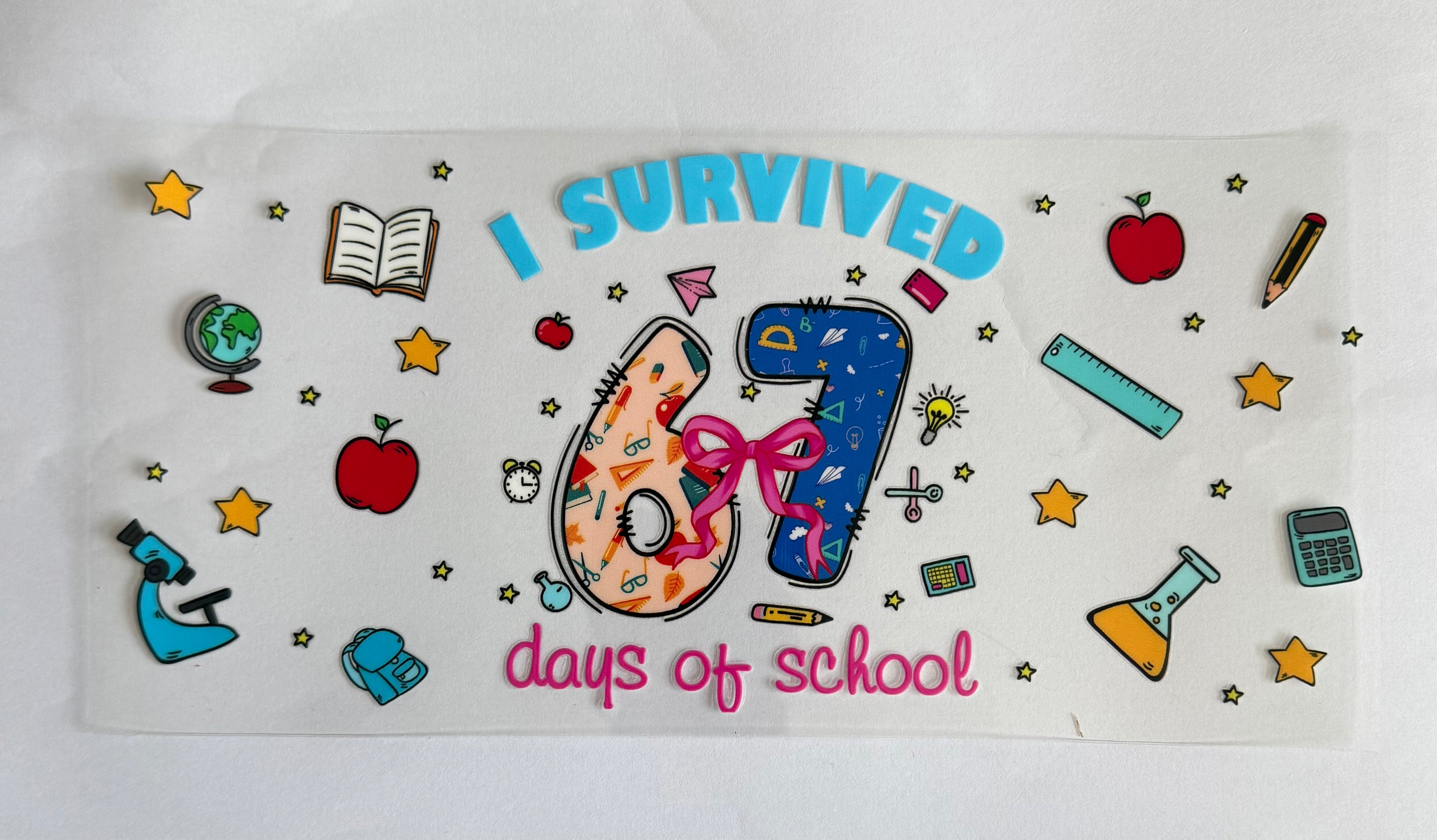 I survived 67 days of School