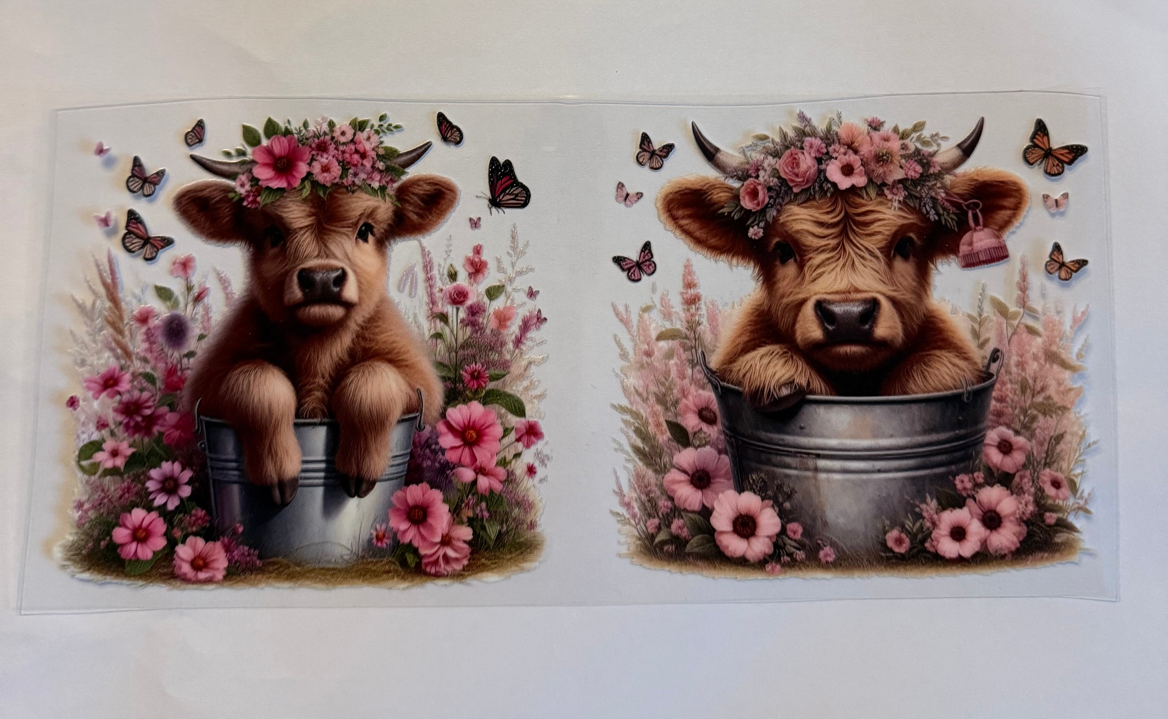Cow in bucket