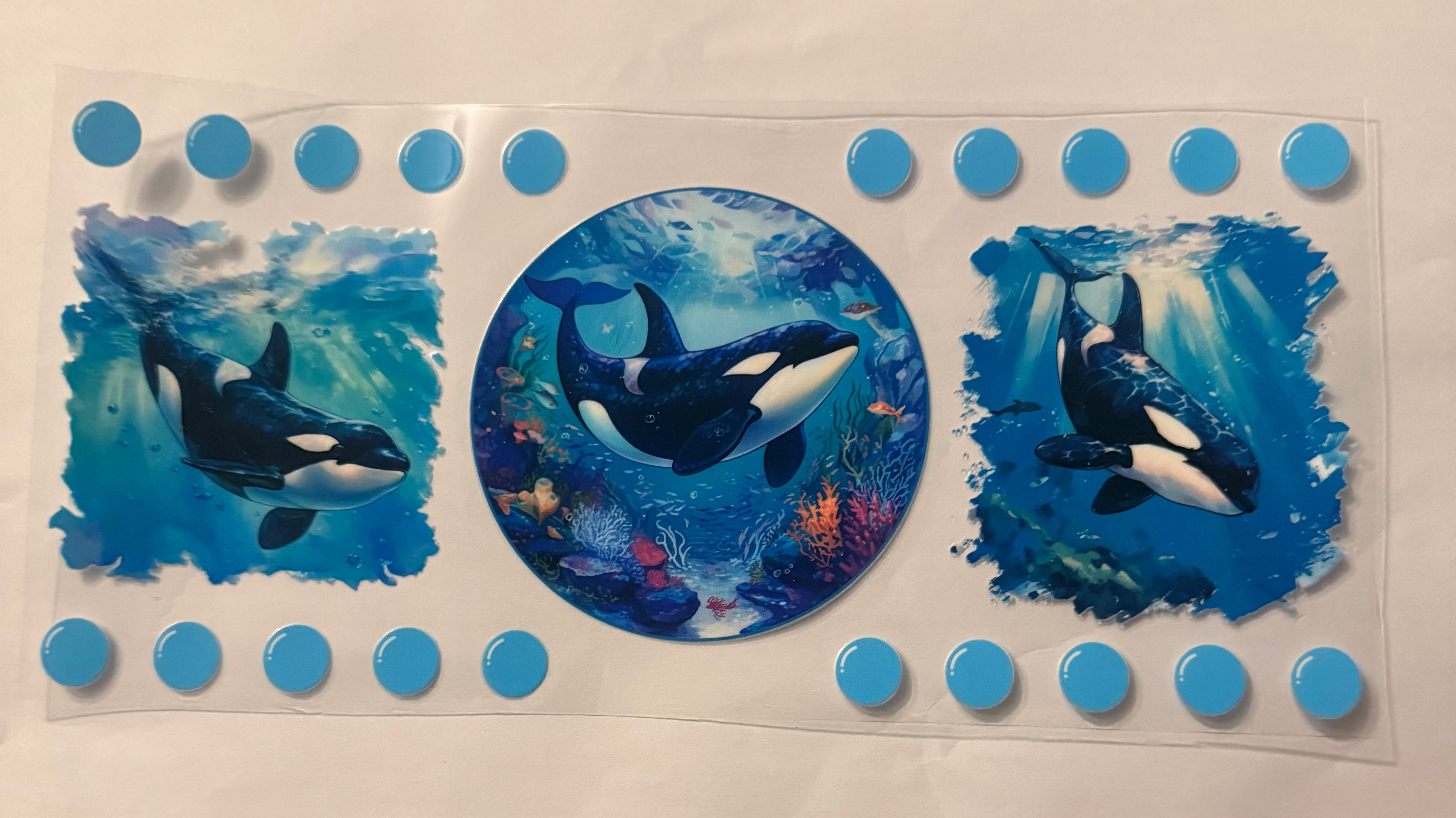 Whales