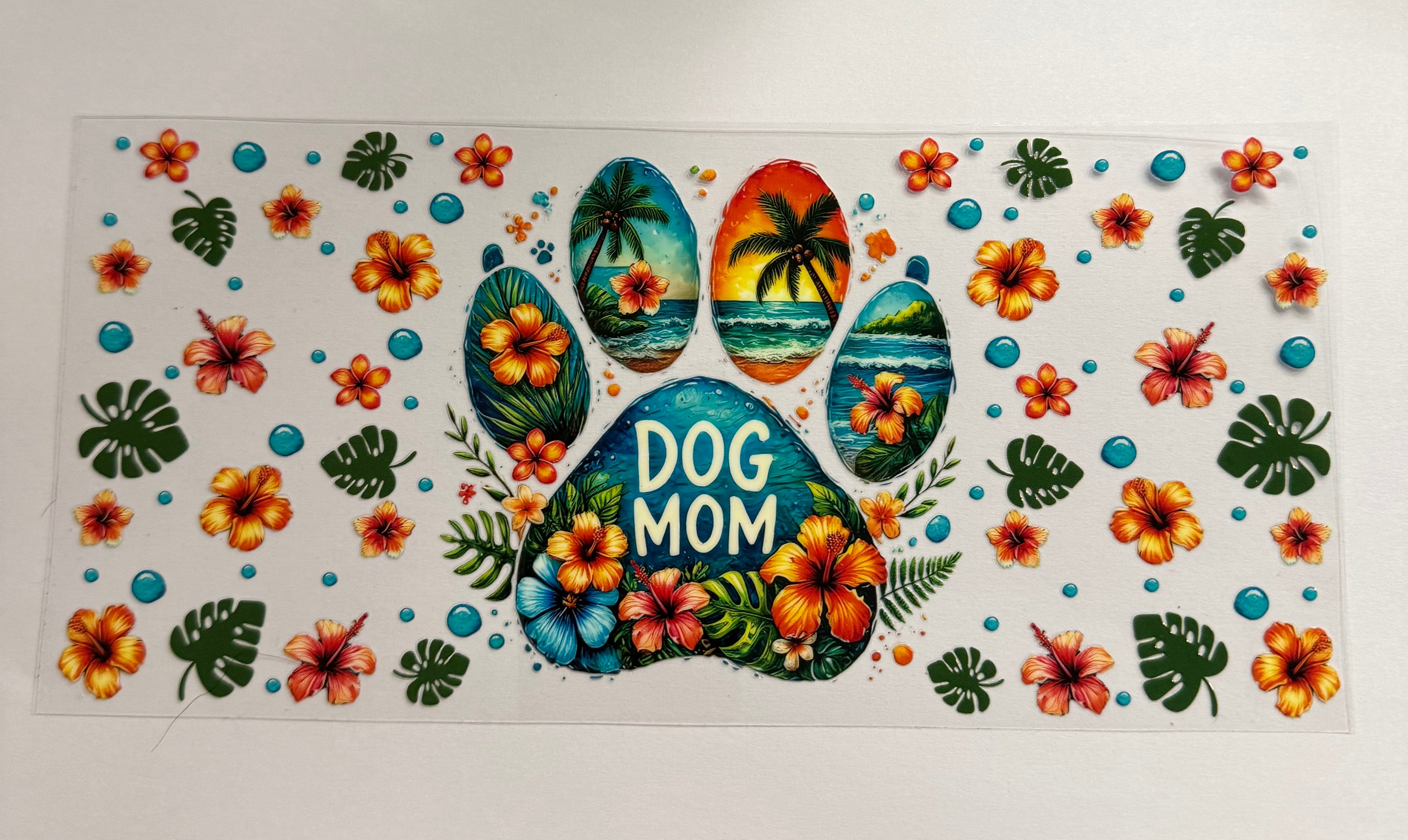 Bahama dog mom