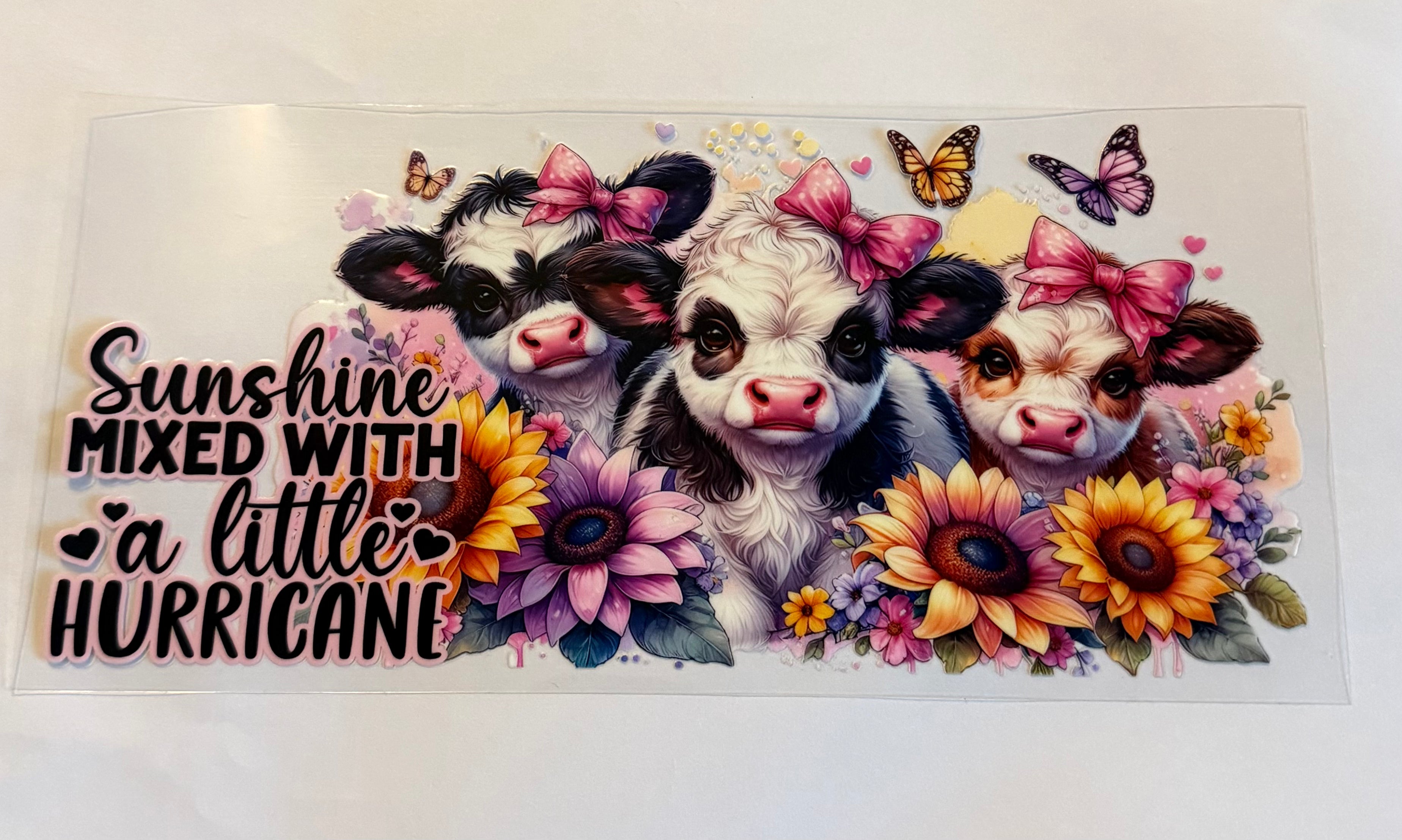 3 cows sunshine mixed with a little hurricane