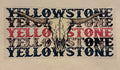 Yellowstone and skull