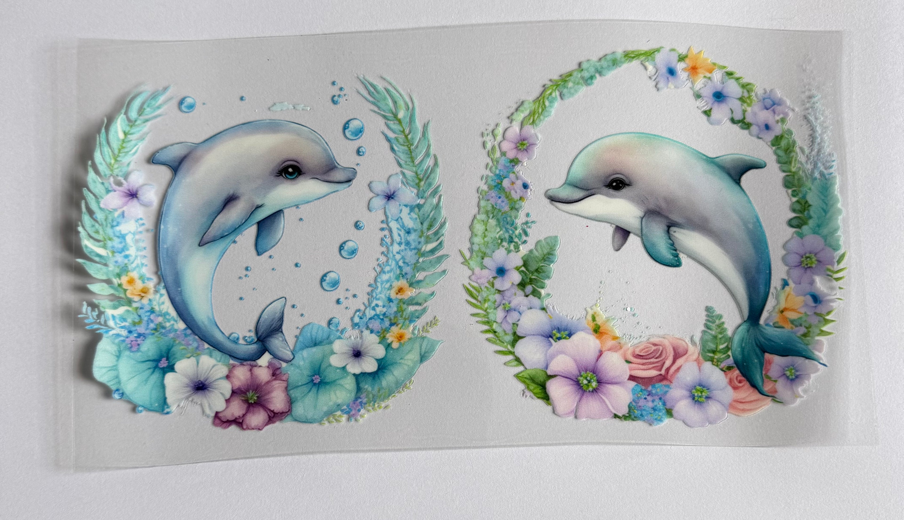 Dolphin