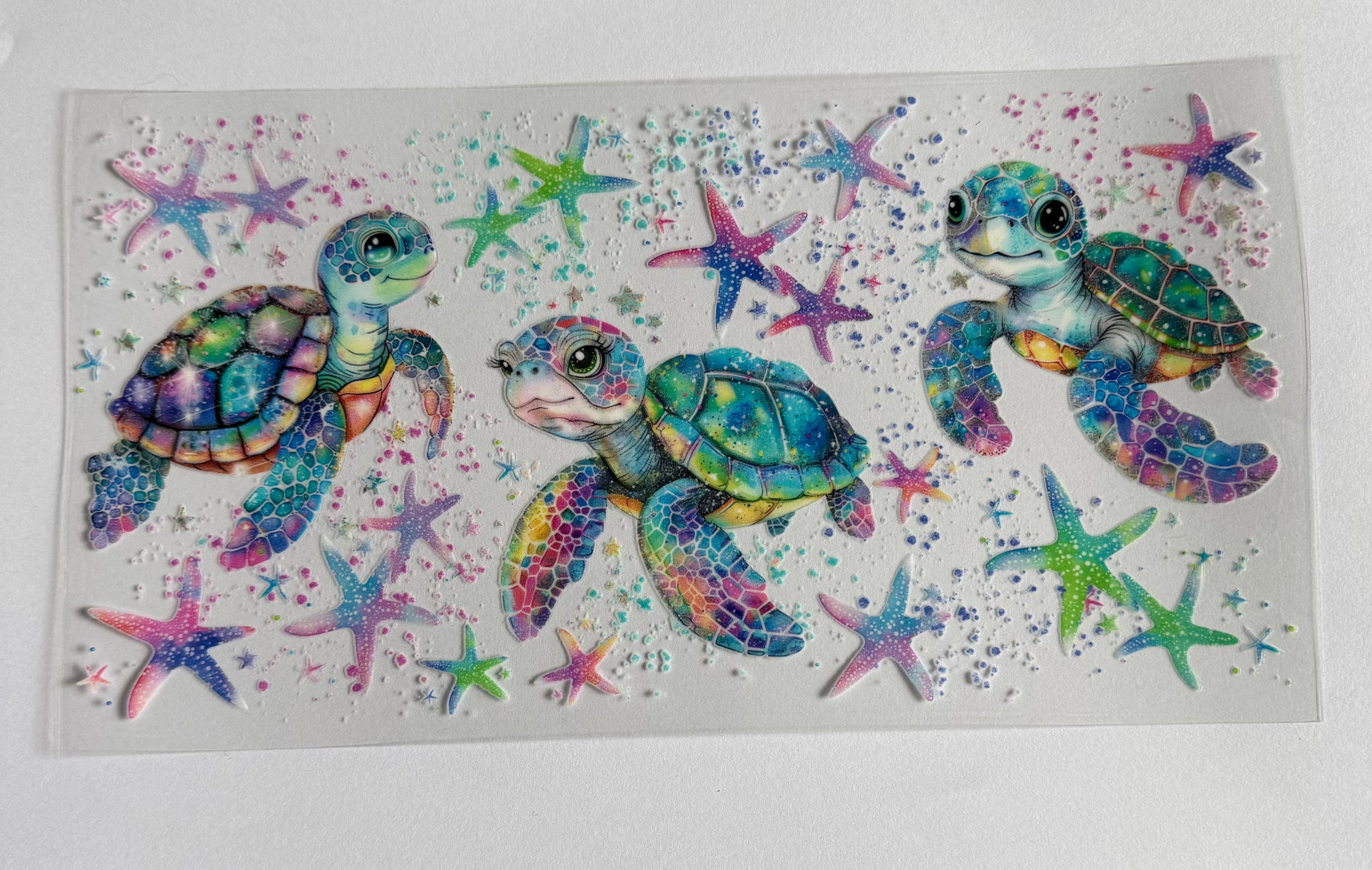 Sea turtles and star fish
