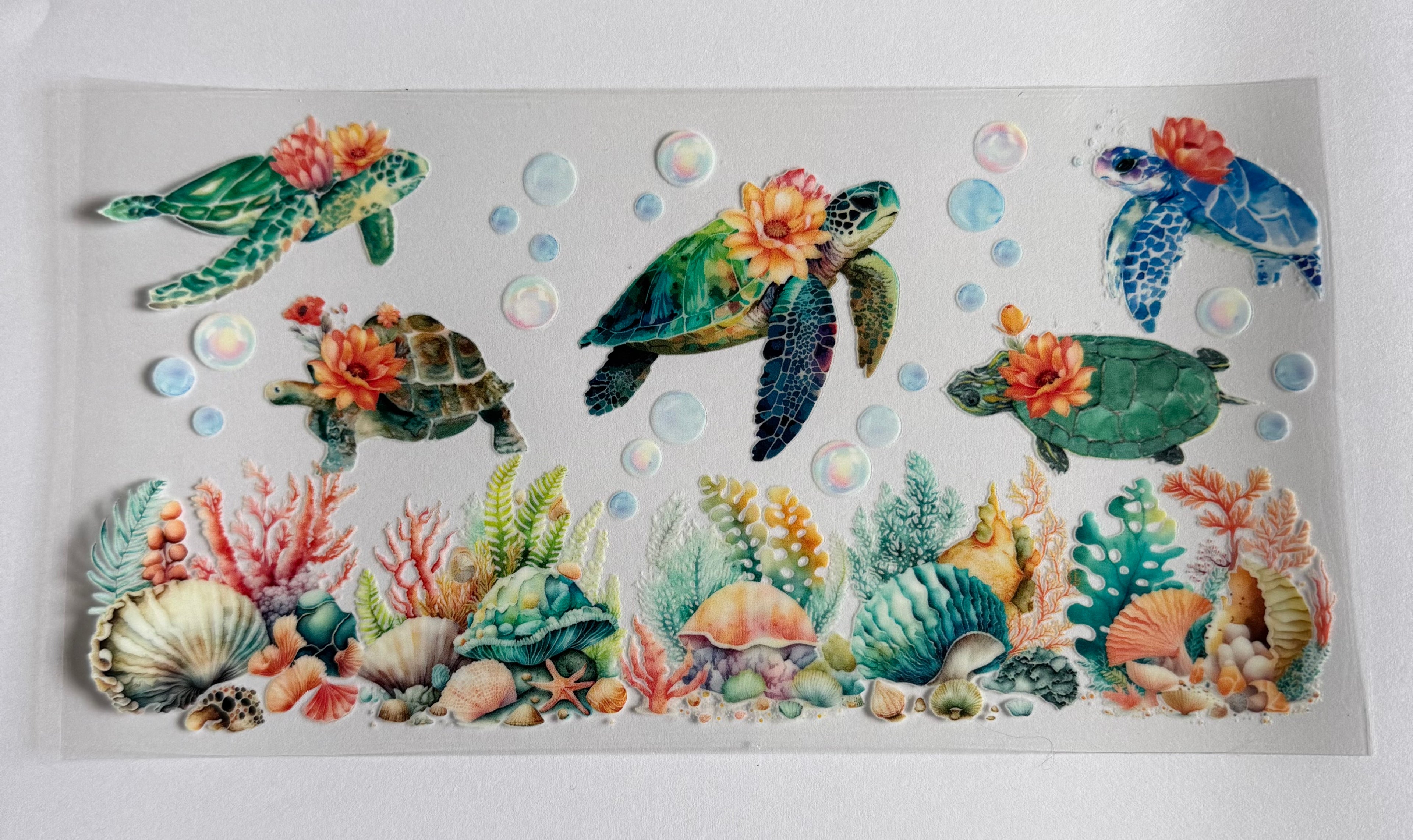 Sea turtles