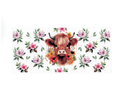 Highlander Cow