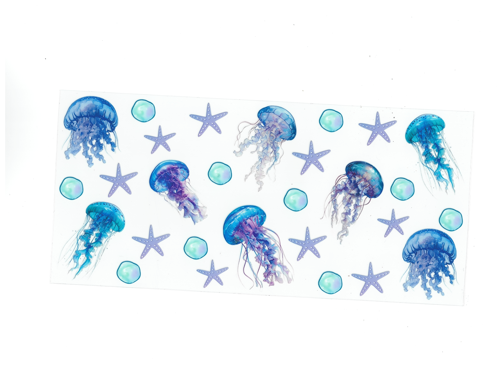 Jellyfish