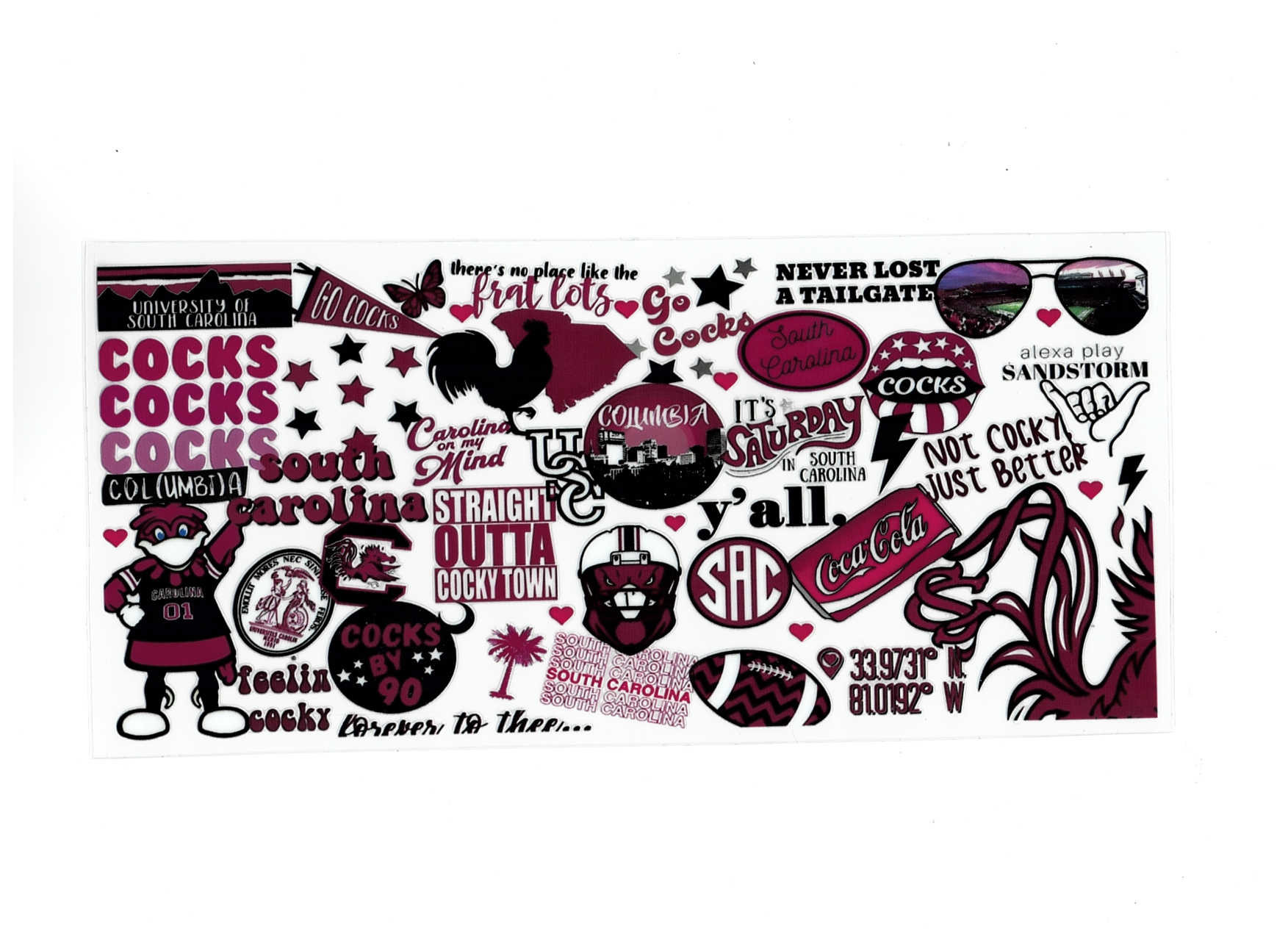 South Carolina Gamecocks